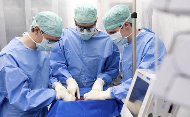 Trasplantan con éxito en Suiza el primer hígado mantenido durante días en una máquina regeneradora