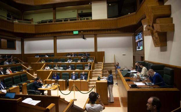 El Parlamento Vasco pide «reforzar y adecuar» los recursos destinados a los trastornos alimenticios