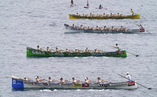 Hondarribia, Orio y Donostiarra: tres gallos para una bandera