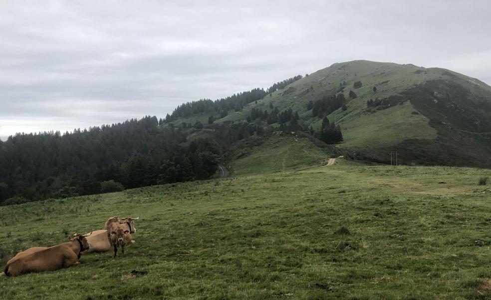 Munagirre, magia natural por doquier