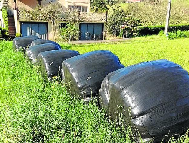 Silo bolen plastikoak hilaren 21ean jasoko dira