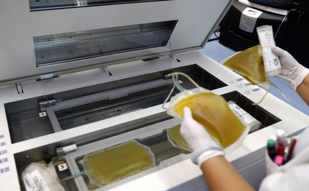 Gipuzkoa necesita cuatro veces más donantes de plasma para poder tratar a decenas de enfermos que lo necesitan