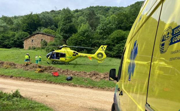 Un trabajador forestal fallece en Idiazabal al caerle encima un pino