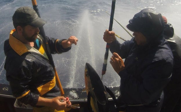 Diferentes artes de pesca para la captura del bonito