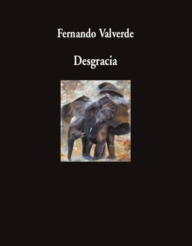 'Desgracia' de Fernando Valverde (Editorial Visor)