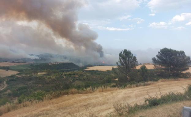 «Es un incendio terrible, nunca había visto algo así, no se ve el fin»