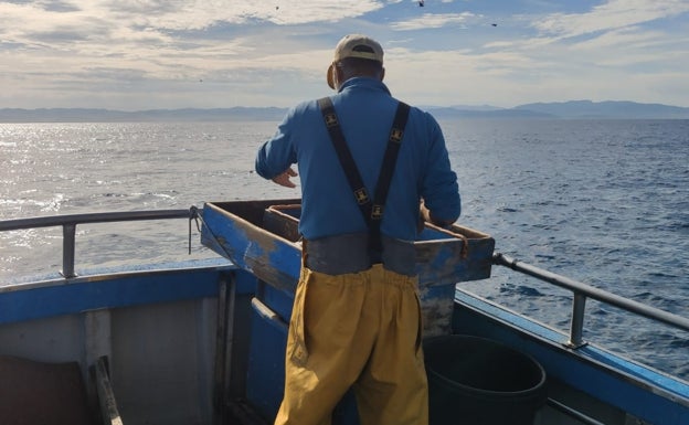 «Una merluza de bajura está en 24 horas en la pescadería»