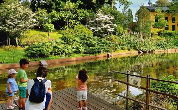 Aire zabaleko zinema-aretoak Donostiako hainbat parketak