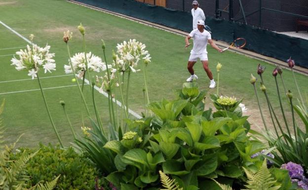 Nadal y Alcaraz, con cautela en Wimbledon