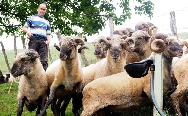 Treinta caseríos abrirán sus puertas para los visitantes los días 8 y 9 de julio