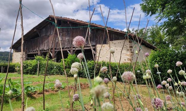 Udarako bisita eta familia jarduera berriak Igartubeiti Baserri Museoan