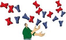 Hombres de talla XXY o XYY: uno de cada 500 varones tiene un cromosoma adicional y, por ello, un mayor riesgo de enfermar