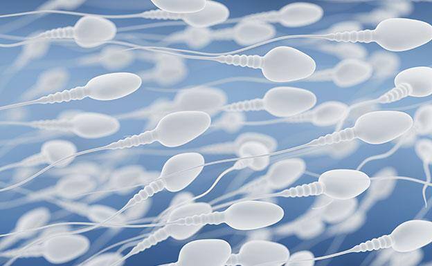 La calidad anormal del semen es causa del 50% de los problemas de fertilidad. Causas, diagnóstico y tratamiento del factor masculino