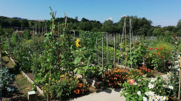 En marcha el concurso 'Las huertas más bonitas del verano'