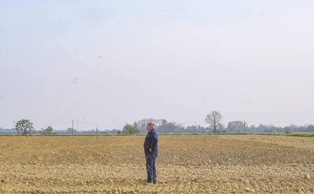 A farmer looks out over his bone-dry field near Milan, where decorative fountains have been shut down as the worst drought in 70 years has hit Italy for weeks.