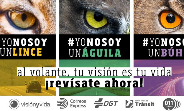 Con vista de lince en la carretera