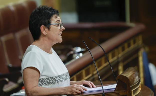 EH Bildu expresa ante el hemiciclo que «el dolor que provocó ETA nunca tenía que haberse producido»