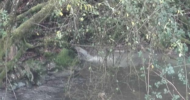 Kolektorea Ariztiberritik Burubikora luzatzeko obrak astelehenean hasiko dira