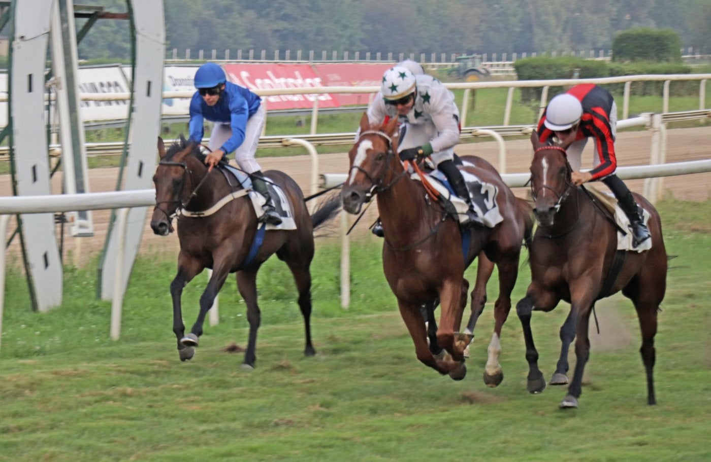En el hipódromo las reglas las pone 'Navia'