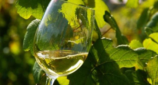 La Feria del Txakoli volverá a ser protagonista hoy en Seber Altube