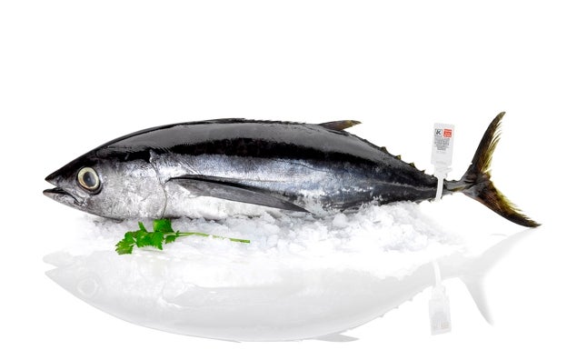 El bonito del Norte, de Bajura y con Eusko Label