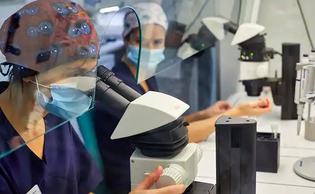 1 de cada 6 parejas ve truncado su proyecto de formar una familia debido a la infertilidad