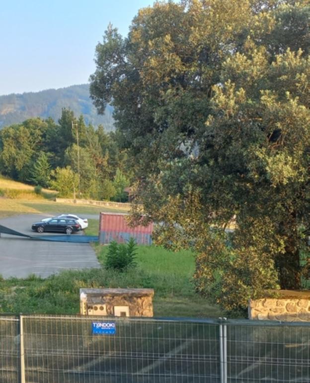 La encina de Elizegi Berri se llevará junto a la iglesia