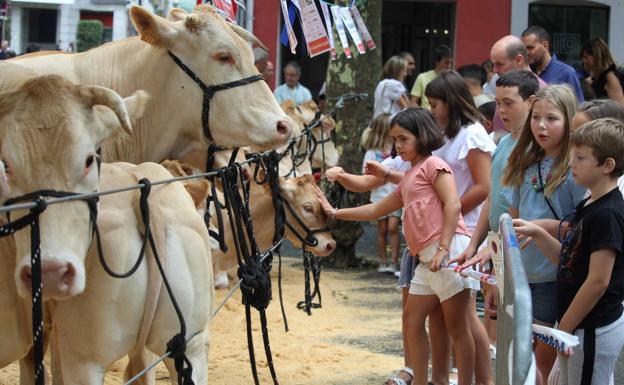 Gogoz ospatu dute azpeitiarrek Santio Eguna eta jada saninazioen zain daude