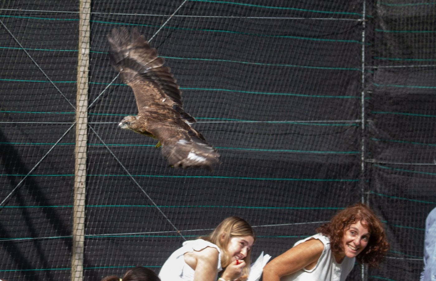 Un nuevo hogar para los animales heridos en Urnieta