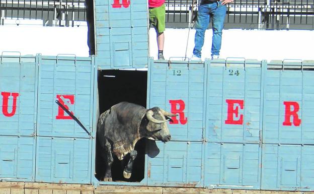 Mariscado, de la ganadería de Ana Romero, toma el testigo en Azpeitia