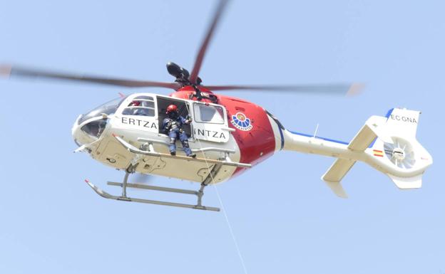 Rescatado un herido al caerle un árbol durante una tala en Oiartzun