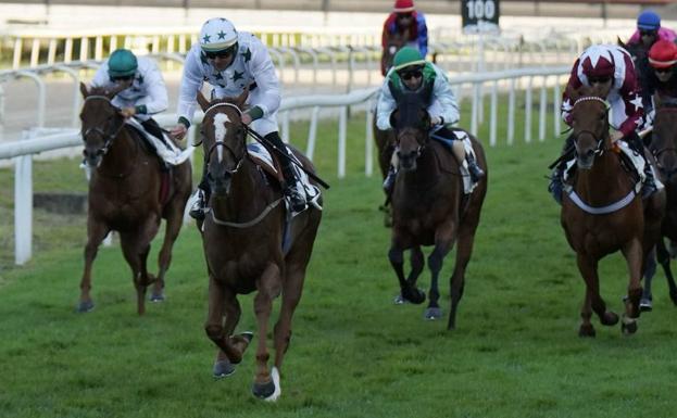 Trece yeguas se disputan el domingo el Gran Premio María Cristina