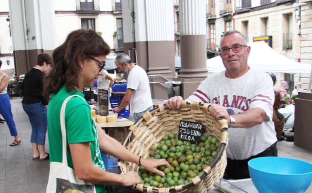 Aran berdeak eta Physalys landarea produktu berrien artean
