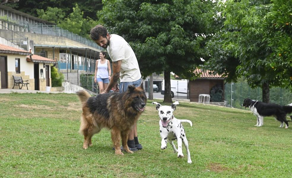 Las mascotas se van de colonias
