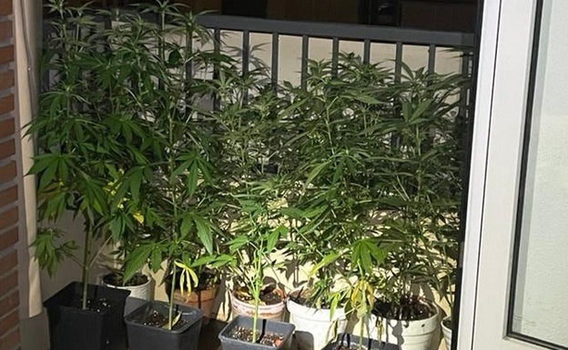 Localizan una plantación de marihuana en una vivienda de Aretxabaleta tras un incendio