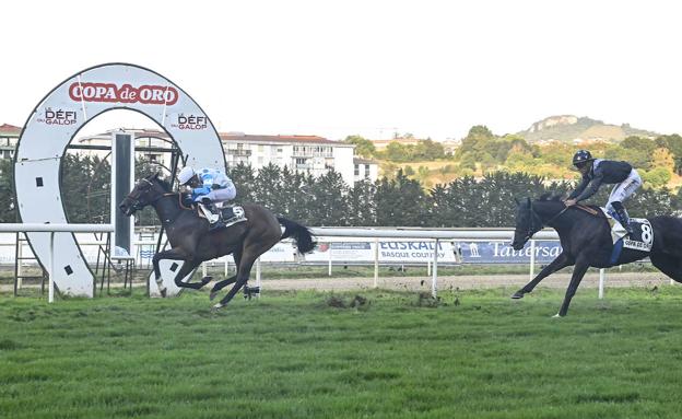 Sousa hace de Oro a 'Il Decamerone'