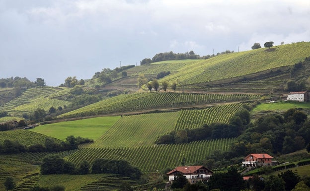 ¿Llueve? Aquí unos planes con chubasquero