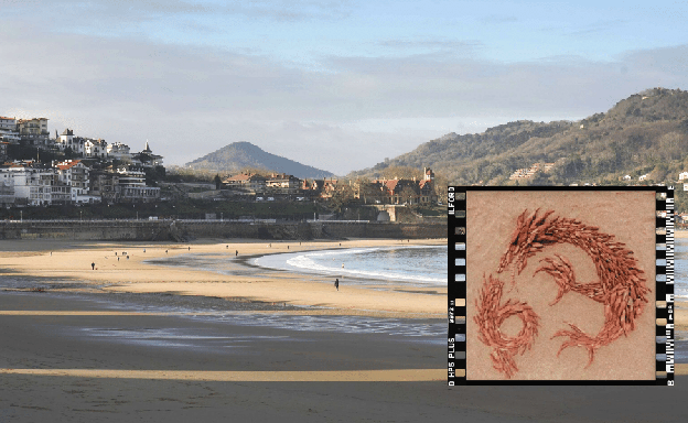 ¿Un dragón de Juego de Tronos en La Concha?