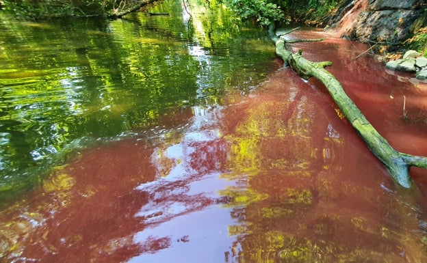 Eguzki denuncia un vertido de sangre al río Urola en Zestoa