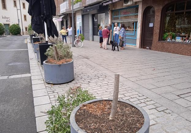 Roban en las cafeterías Hemen y en la del hospital y sierran siete olivos