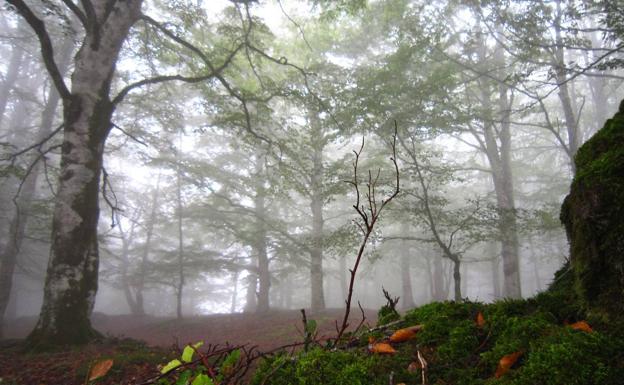 Rescatada una excursionista accidentada en Urbasa
