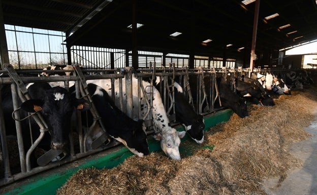 ENBA exige a Mercadona que actualice el precio de su leche
