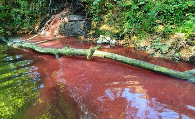 Urkaiko hiltegiaren azalpenak odol isuriaren inguruan
