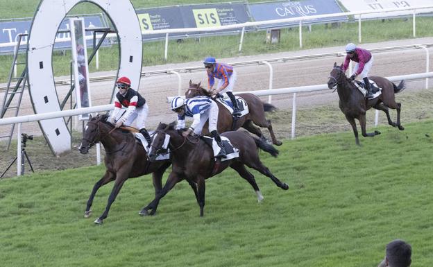 La velocidad también se escribe en femenino en el hipódromo