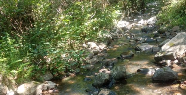 Vuelta del calor a primeros de septiembre