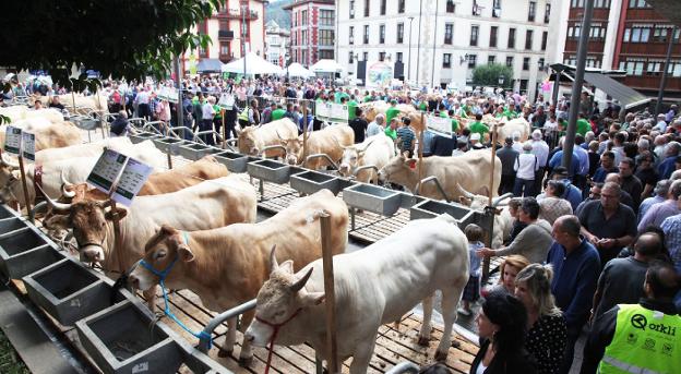 Una gran fiesta en torno al agro tradicional