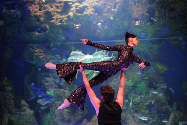 'Inmersión', una exposición en el Aquarium para reflexionar sobre la mar