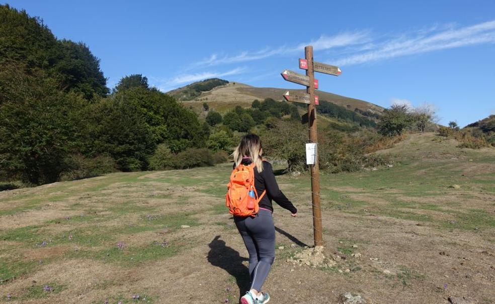 Adi. Escenario perfecto de la berrea