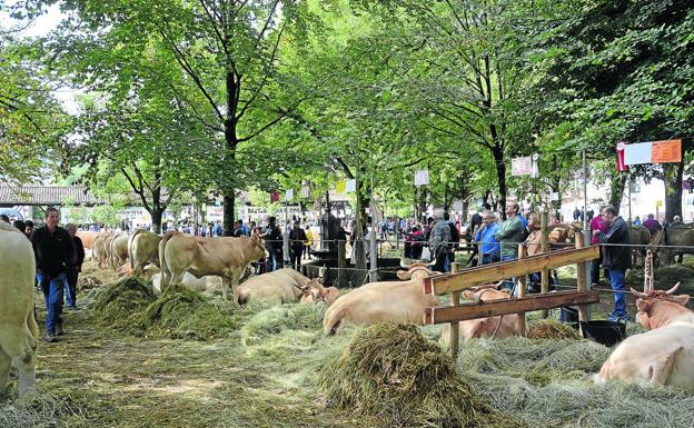 «Tenemos poca hierba por la sequía, no nos llegará para el invierno»