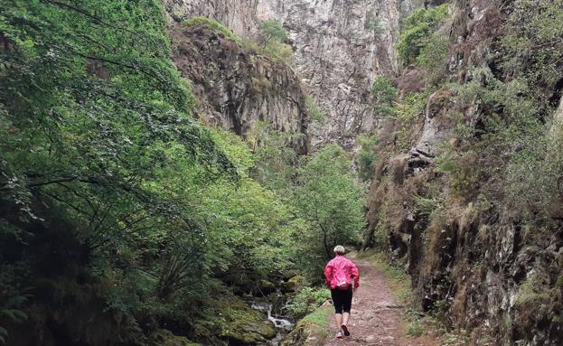 Redes, entre bosques encantados y ríos
